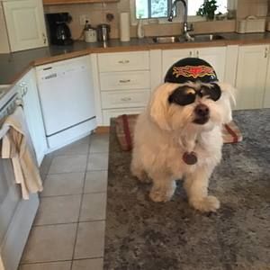 Meet your Posher, Laura